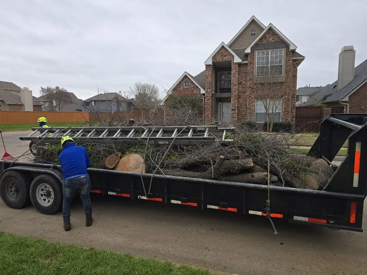 Expert Lot Clearing with proper safety equipment in Hood River